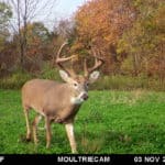 Trail camera