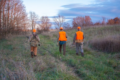 Illinois Pheasant Hunting | Heartland Lodge