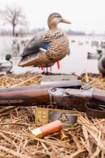 Guided Duck Hunts Illinois