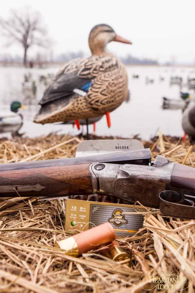 Duck & Shotgun