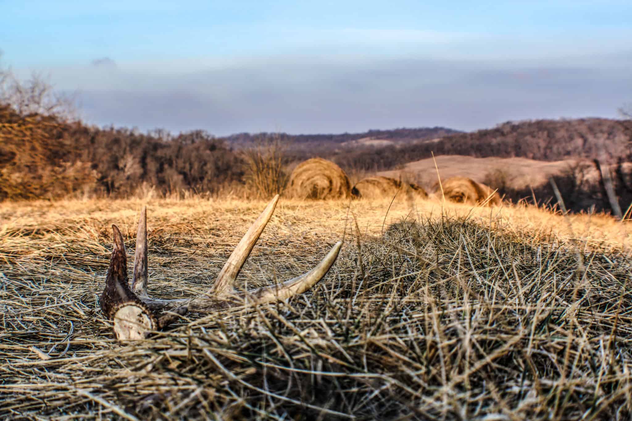 what-a-mild-winter-means-for-shed-hunters-heartland-lodge