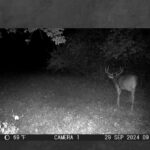 Trail Cam Photos