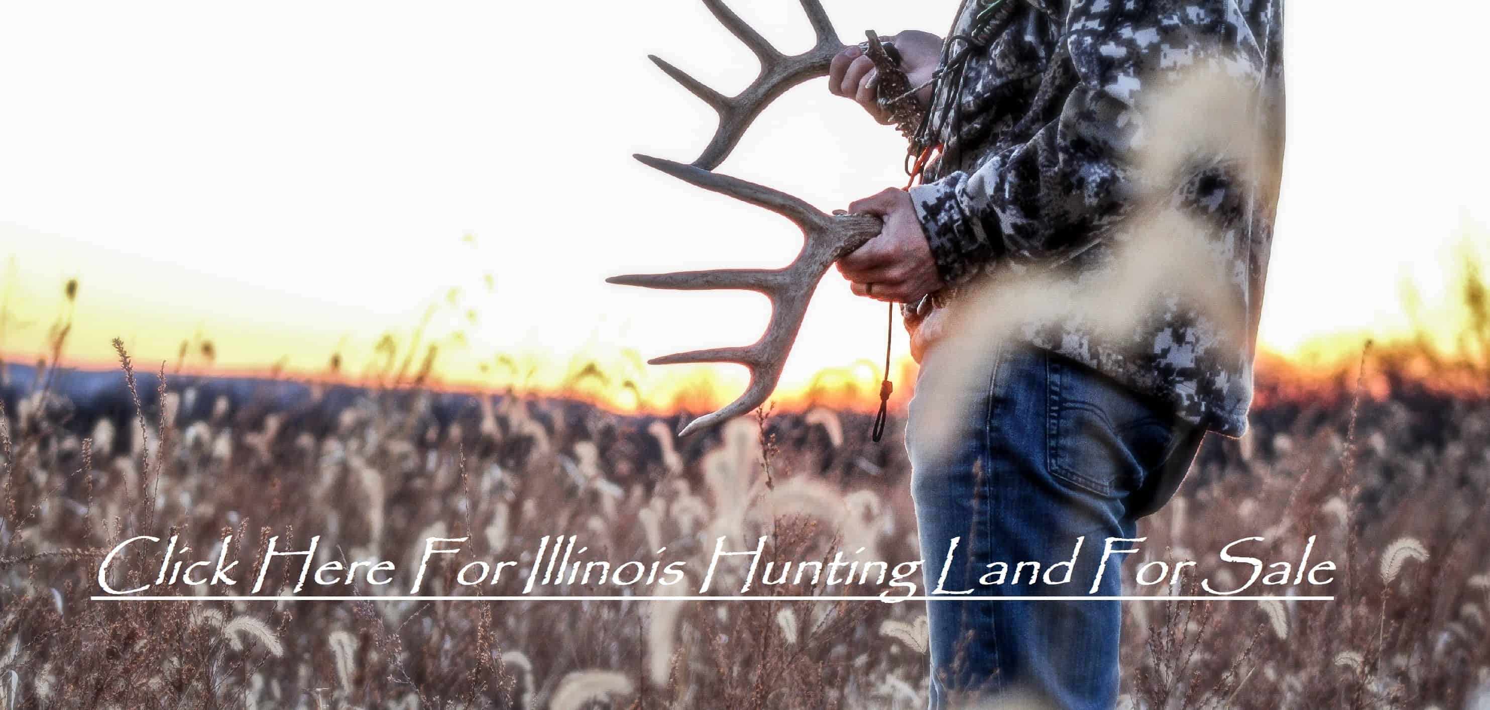 Buying Illinois Deer Hunting Land For Sale Heartland Lodge