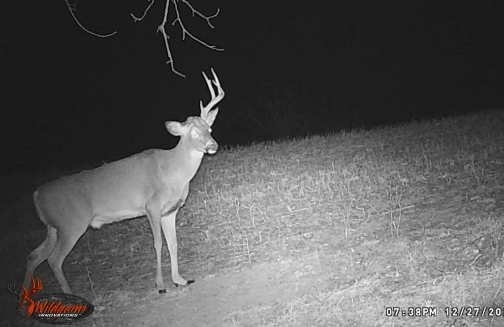 Shed Hunting Illinois 2024 Update Heartland Lodge