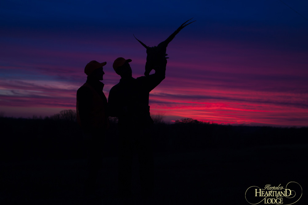  Bryllupsreise Upland Hunt